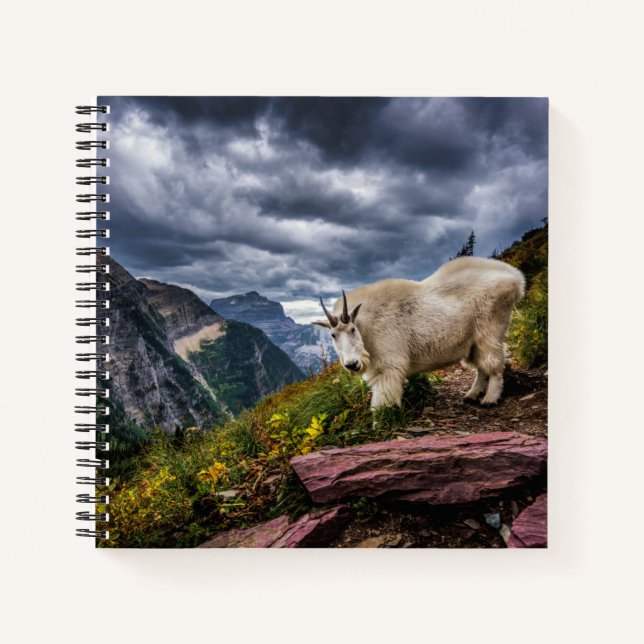 Cuaderno Cabra de Montaña Rocosa (Anverso)