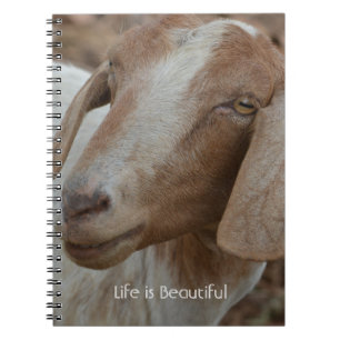 Cuaderno Cabra Kauai (mi fotografía)