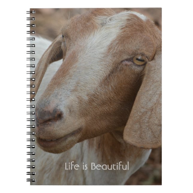 Cuaderno Cabra Kauai (mi fotografía) (Frente)