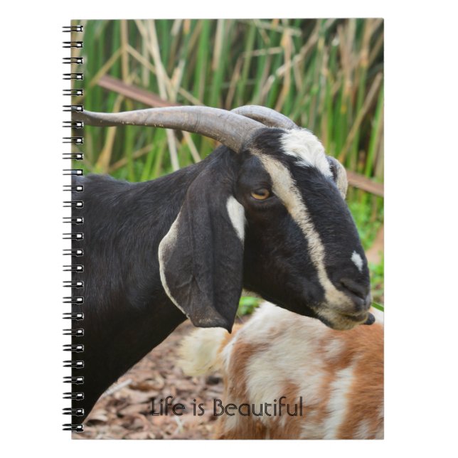 Cuaderno Cabra Negra Kauai (mi fotografía) (Frente)