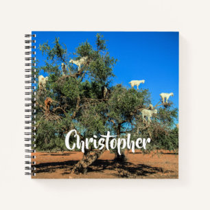 Cuaderno Cabras divertidas en árboles Nombre personalizado