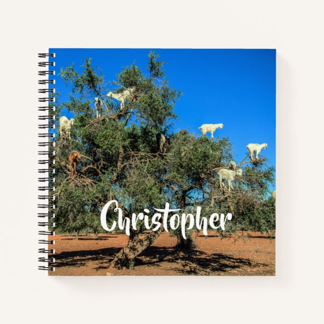 Cuaderno Cabras divertidas en árboles Nombre personalizado  (Anverso)
