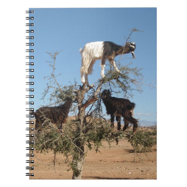Cuaderno Cabras divertidas en un árbol (Frente)