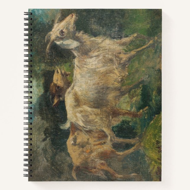 Cuaderno Cabras (por Vincenzo Caprile) (Anverso)