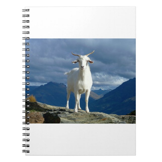 Cuaderno Cabras y cabras y cabras (93) (Frente)