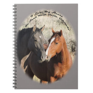 Cuaderno Cacahuete y Surma, sementales en lavabo de la