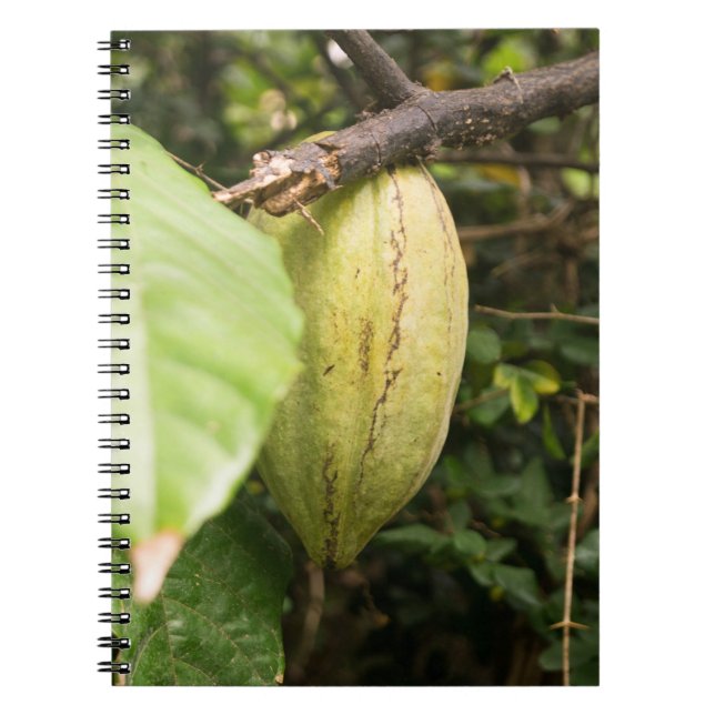 Cuaderno cacao pod (Frente)