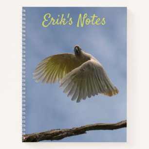 Cuaderno Cacatúa Australia Ave Loro Vuela Cielo Foto