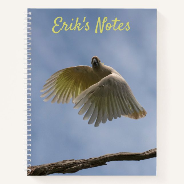Cuaderno Cacatúa Australia Ave Loro Vuela Cielo Foto (Anverso)