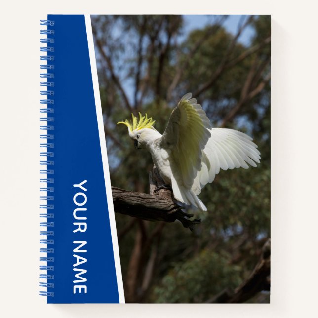 Cuaderno Cacatúa Australia Loro Pájaro Alas, Azul (Anverso)