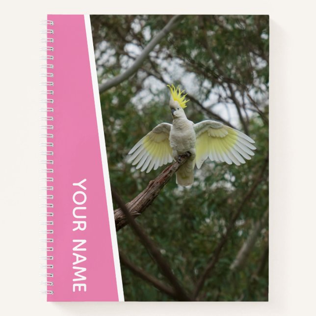 Cuaderno Cacatúa Australia Loro Pájaro Alas, Rosa (Anverso)