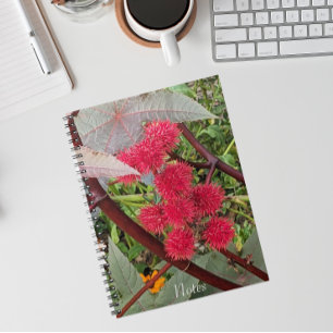 Cuaderno Cacerolas de Semillas de la Planta de Castor Rojo