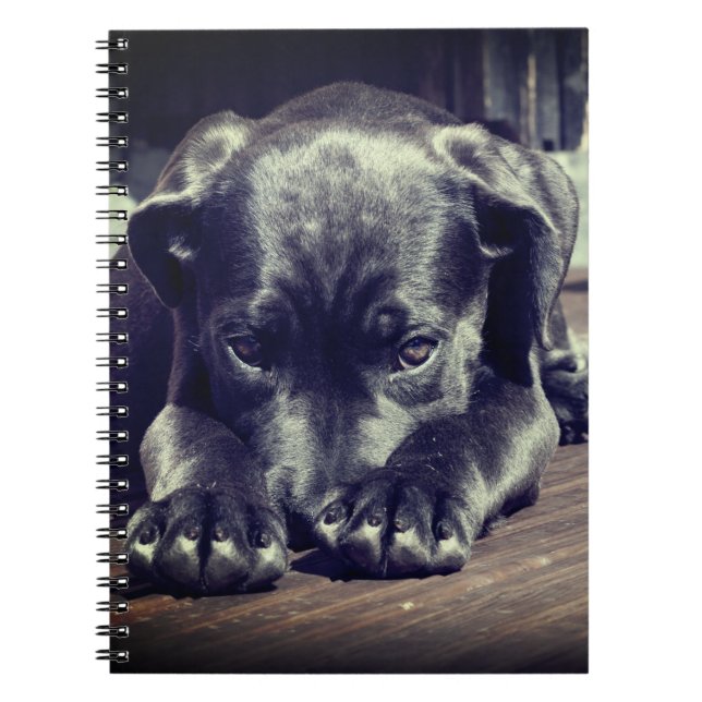 Cuaderno Cachorro (Frente)