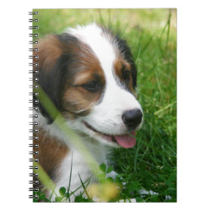 Cuaderno Cachorro