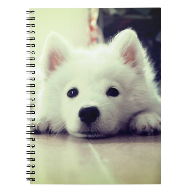 Cuaderno Cachorro blanco (Frente)