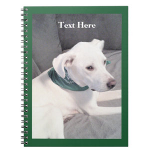Cuaderno Cachorro blanco lindo perro verde espalda a la esc