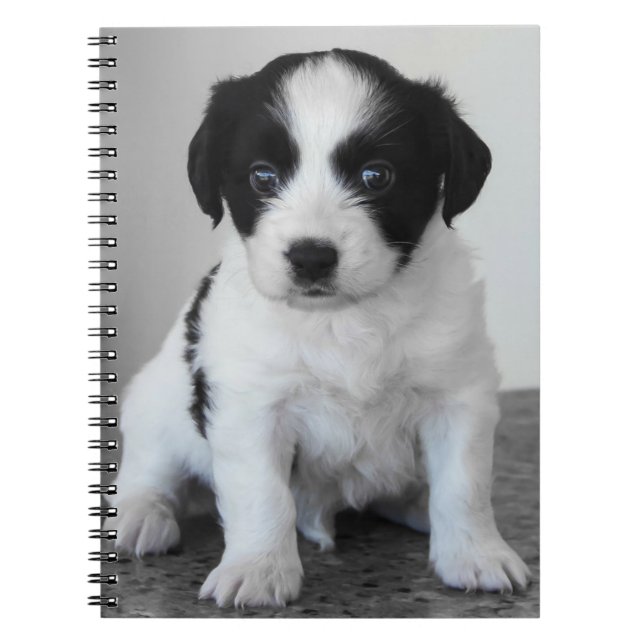Cuaderno Cachorro blanco y negro adorable (Frente)
