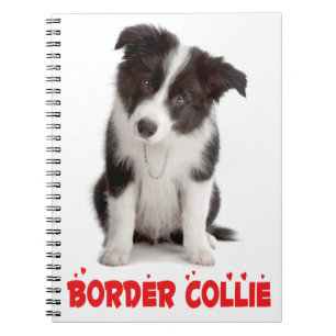 Cuaderno Cachorro Cachorro Border Collie Negro y Blanco Amo