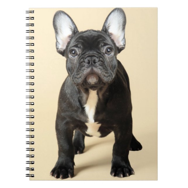 Cuaderno Cachorro de Bulldog francés (Frente)