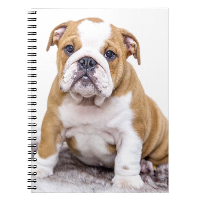 Cuaderno Cachorro de Bulldog suave sentándose (Frente)