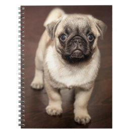 Cuaderno Cachorro de cachorro en suelo de madera pulida