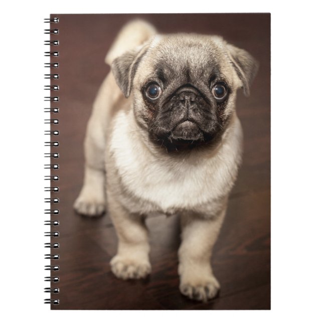 Cuaderno Cachorro de cachorro en suelo de madera pulida (Frente)
