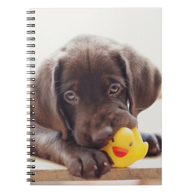 Cuaderno Cachorro de chocolate con pato de juguete (Frente)