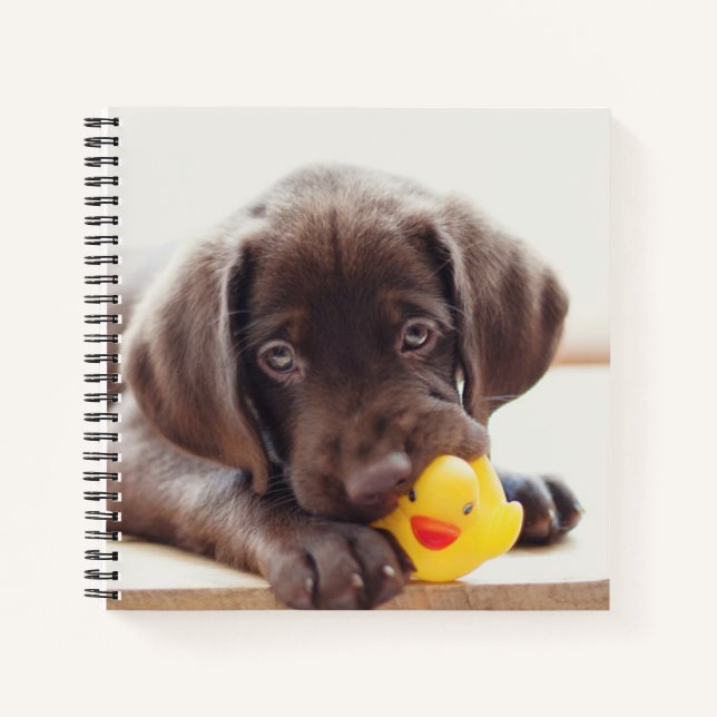 Cuaderno Cachorro de chocolate con pato de juguete (Anverso)