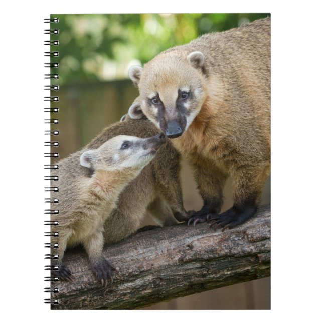 Cuaderno Cachorro de Coati Comparte un Momento Tierno con s (Frente)