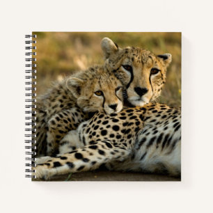 Cuaderno Cachorro de Guepardo Acurrucado con su Madre