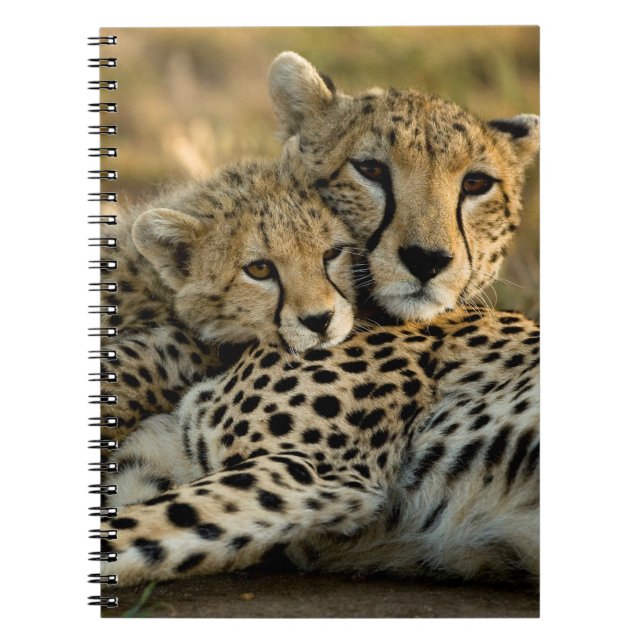 Cuaderno Cachorro de guepardo acurrucándose con su madre (Frente)