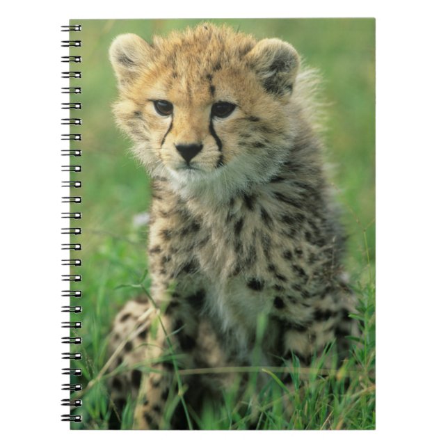 Cuaderno Cachorro de Guepardo Borroso (Frente)