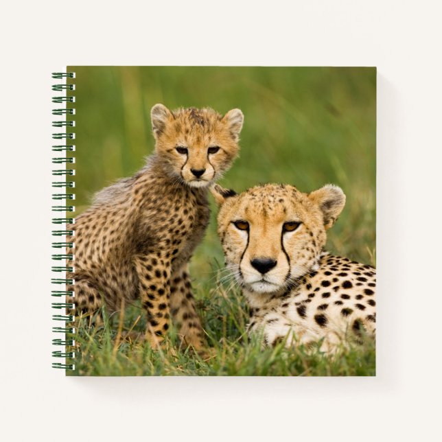 Cuaderno Cachorro de Guepardo y Padre en Hierba (Anverso)