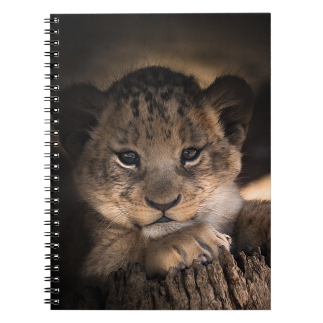 Cuaderno Cachorro de León (Frente)