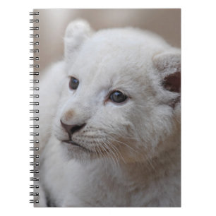 Cuaderno Cachorro de león blanco de seis semanas de edad