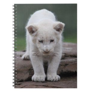 Cuaderno Cachorro de león blanco del bebé