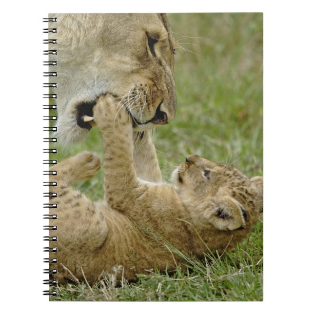 Cuaderno Cachorro de León Jugando (Frente)