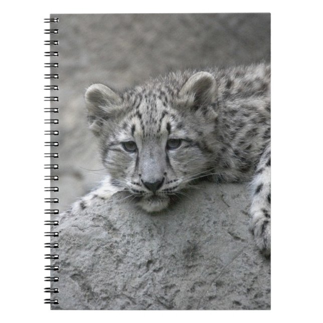 Cuaderno cachorro de leopardo de las nieves de 4 meses tend (Frente)