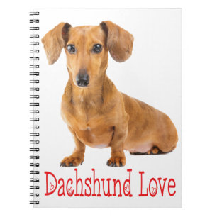 Cuaderno Cachorro de Perro de Amor Dachshund