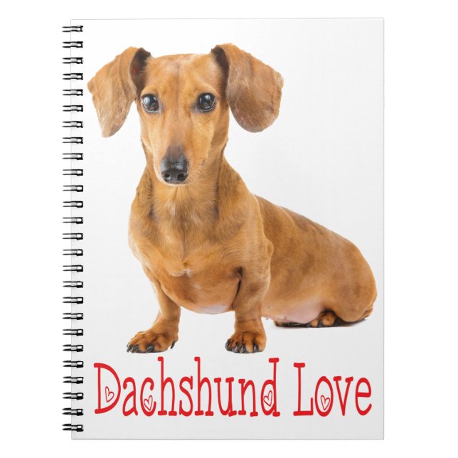 Cuaderno Cachorro de Perro de Amor Dachshund (Frente)