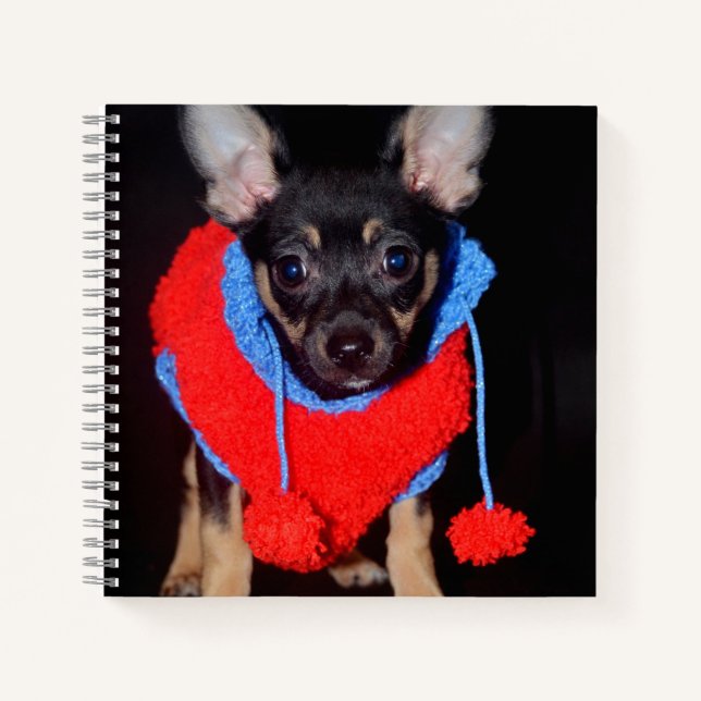 Cuaderno Cachorro en suéter de lana roja (Anverso)