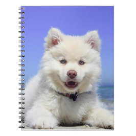Cuaderno Cachorro finlandés blanco