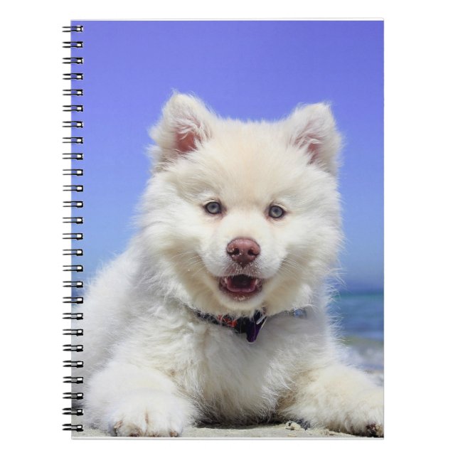Cuaderno Cachorro finlandés blanco (Frente)