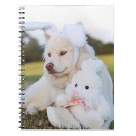 Cuaderno Cachorro finlandés blanco
