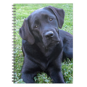 Cuaderno Cachorro Lover Lover Negro Labrador