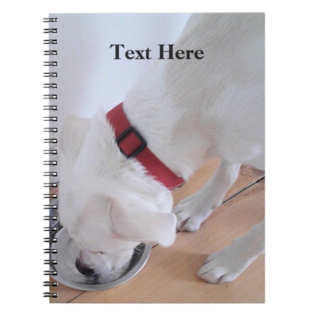 Cuaderno Cachorro mestizo labrador blanco lindo de vuelta a (Frente)