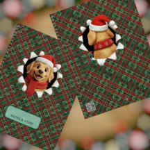 Cachorro Navideño Adorable Tartán Rompe a Través