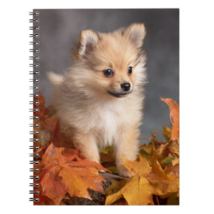 Cuaderno Cachorro pomeraniano con espiral de hojas de otoño