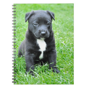 Cuaderno Cachorro totalmente adorable