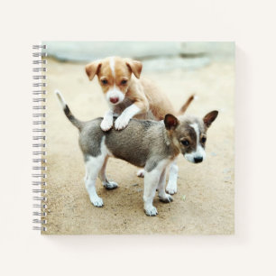 Cuaderno Cachorros Adorables Jugando en la Playa
